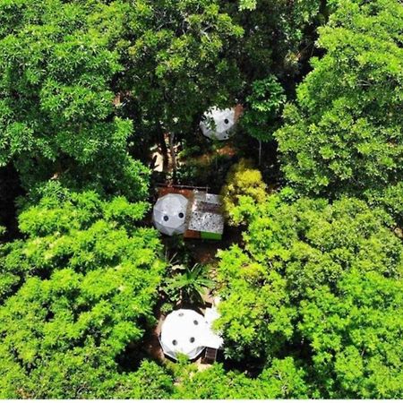 Faith Glamping Dome Costa Rica Ξενοδοχείο Manzanillo  Εξωτερικό φωτογραφία