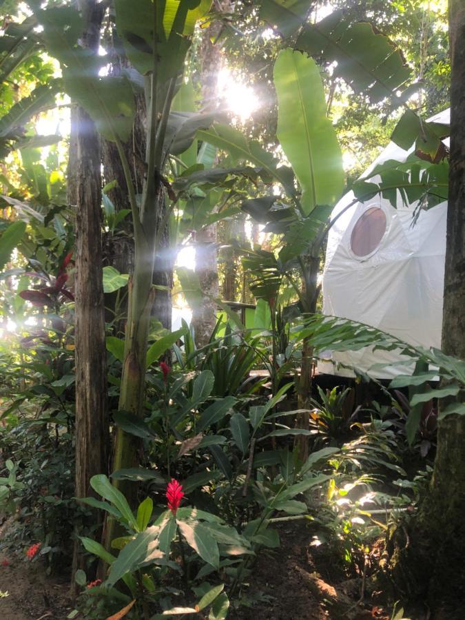 Faith Glamping Dome Costa Rica Ξενοδοχείο Manzanillo  Εξωτερικό φωτογραφία