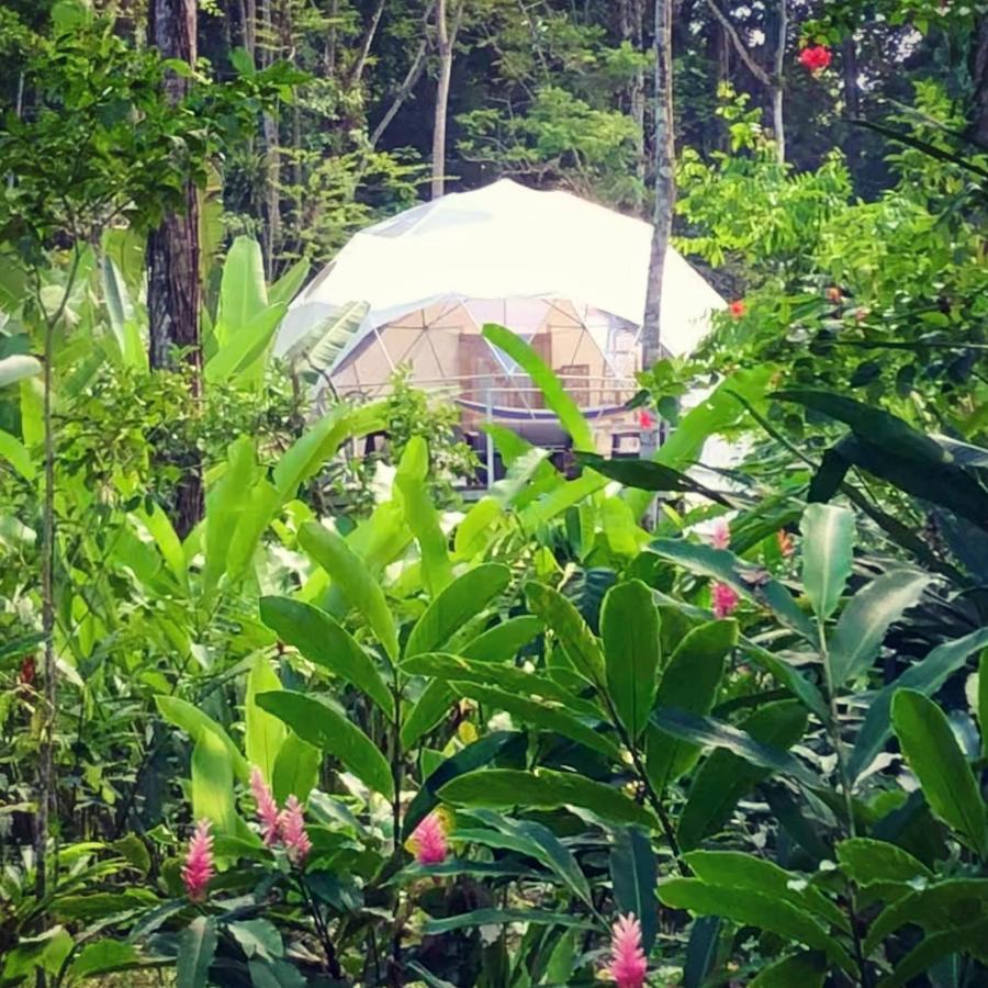 Faith Glamping Dome Costa Rica Ξενοδοχείο Manzanillo  Εξωτερικό φωτογραφία