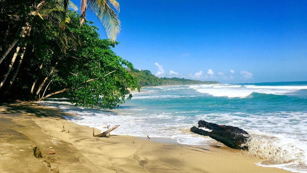 Faith Glamping Dome Costa Rica Ξενοδοχείο Manzanillo  Εξωτερικό φωτογραφία